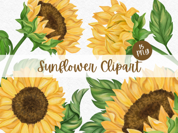 Download Sunflower Watercolor Digital Clipart - Art Collection