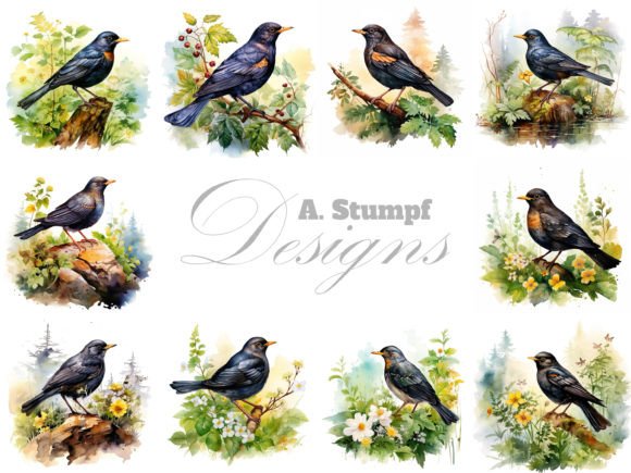 Download Blackbird Clipart Watercolor Bird Bundle - Art Collection