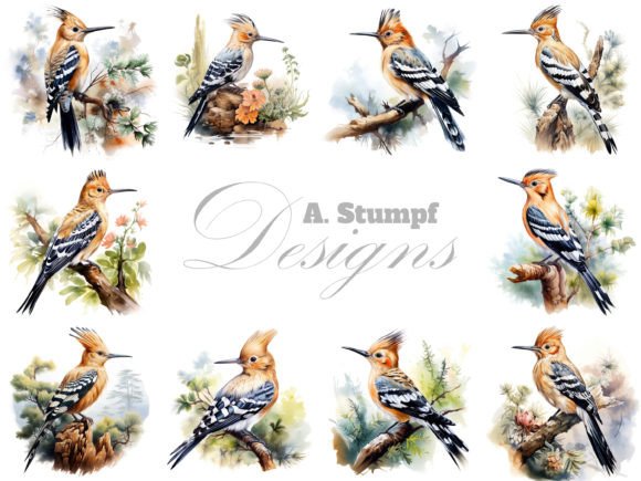 Download Hoopoe Clipart Watercolor Bird Bundle - Art Collection