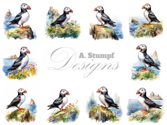Download Atlantic Puffin Watercolor Bird Clipart - Art Collection