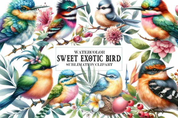 Download Sweet Exotic Bird Watercolor 19 Cliparts - Art Collection