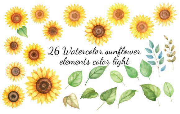 Download 26 Watercolor Sunflower Elements Color - Watercolor sunflower elements Collection