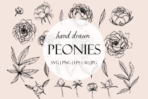 Download Peonies Line Art SVG - Art Collection