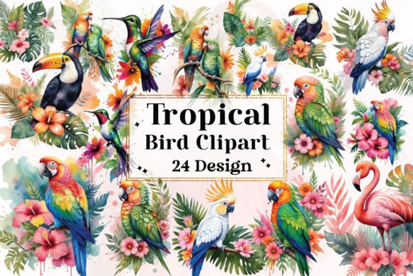 Download Tropical Bird Clipart Bundle - Art Collection