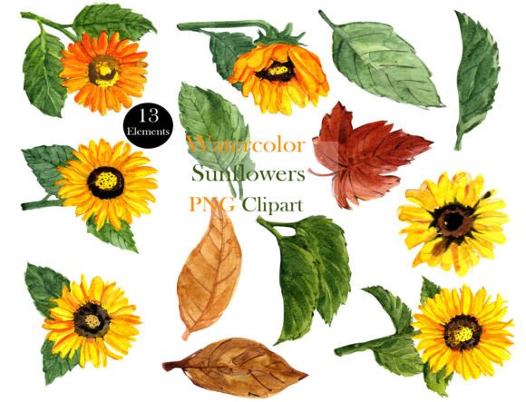 Download Elegant Watercolor Sunflower Clipart Set - Art Collection