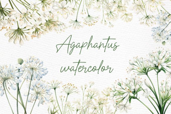 Download White Wild Flowers Clipart Watercolor - Art Collection