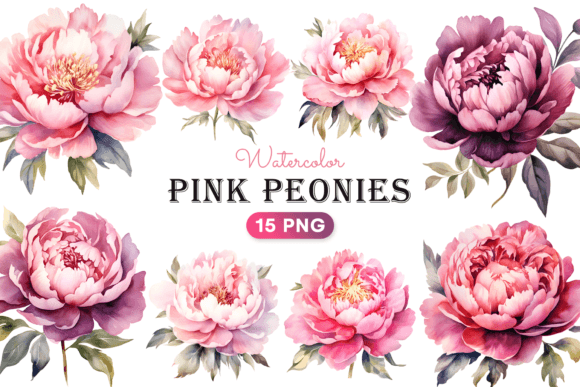Download Watercolor Pink Peonies Flower Clipart - Art Collection