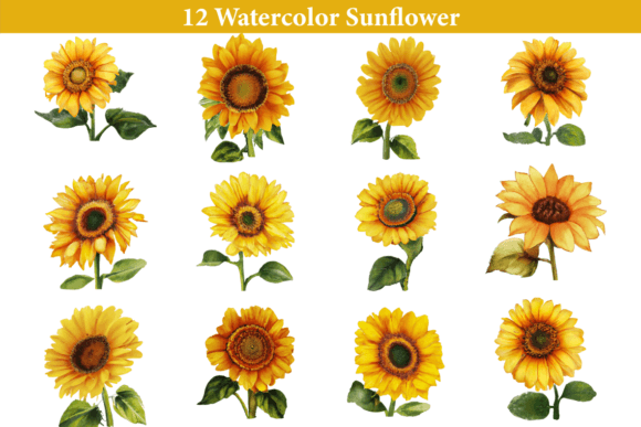 Download Watercolor Sunflower Clipart - Art Collection