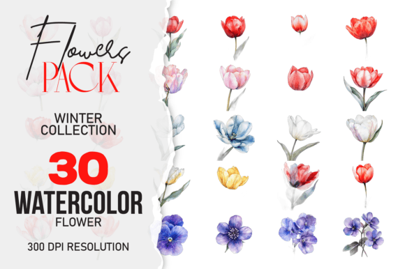 Download Wild Floral Clipart, Watercolor Flower C - Art Collection