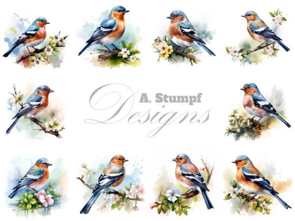Download Chaffinch&nbsp;Clipart Watercolor Bird Bundle - Art Collection