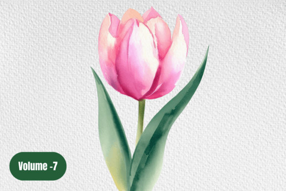 Download Watercolor Floral Clipart. Tulip Art - Art Collection