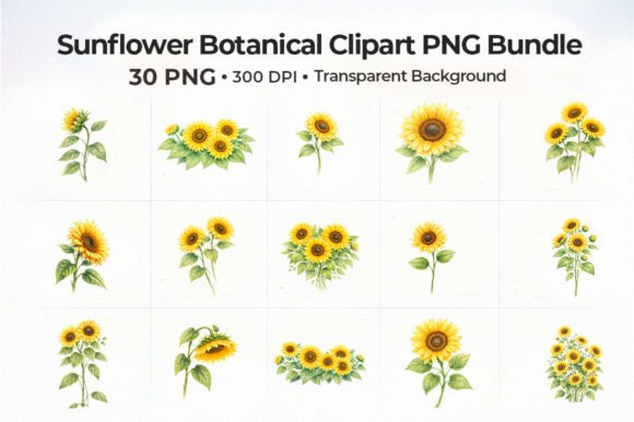 Download 30+sunflower-botanical-clipart-png-bundl - Art Collection