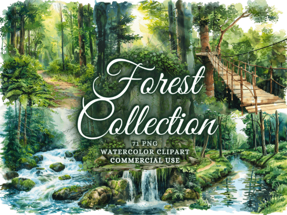 Download Watercolor Forest Clipart - Woodland Png - Art Collection