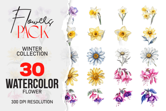 Download Wild Floral Clipart Watercolor Flowers - Art Collection