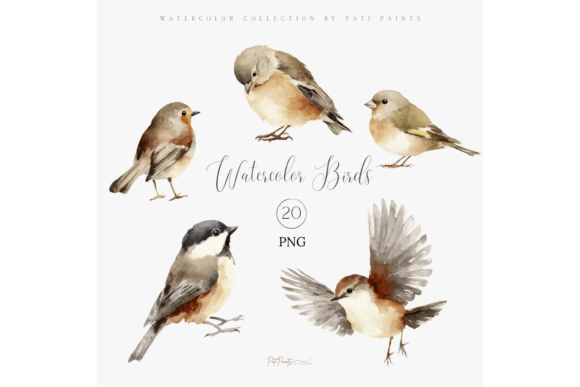 Download Watercolor Bird Clipart Bundle - Art Collection