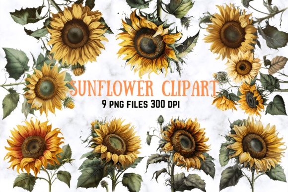 Download Sunflower Clipart Set - Art Collection