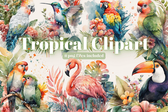 Download Tropical Bird Clipart Bundle - Art Collection
