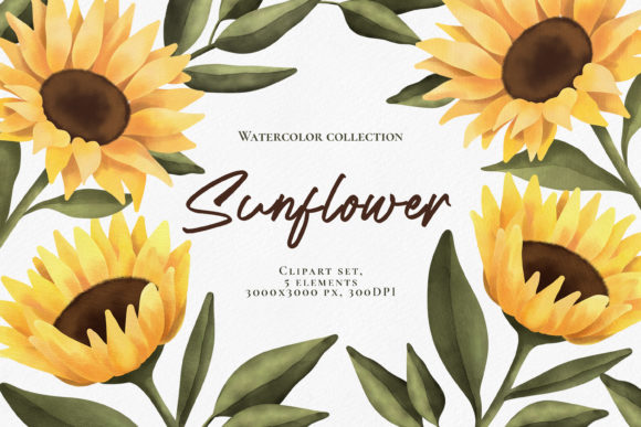Download Watercolor Sunflower Clipart Set. PNG - Art Collection