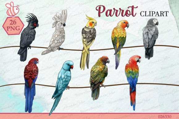 Download Watercolor Parrot Clipart: Tropical Bird - Art Collection