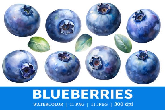 Download Fresh Blueberries Watercolor Clipart - Art Collection