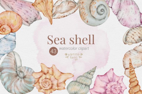 Download Sea Shell Summer Watercolor Clipart, PNG - Art Collection