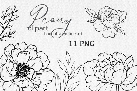 Download Peonies LINE DRAWING, Floral Line Art - Art Collection