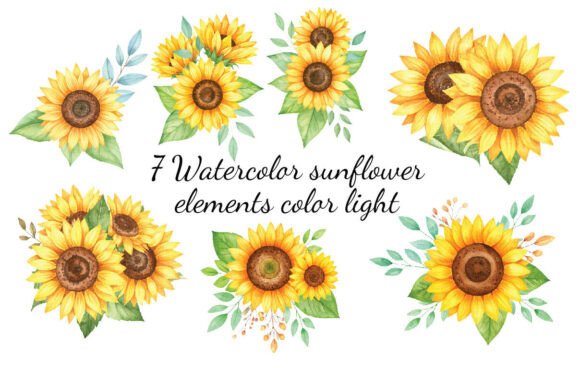 Download 7 Watercolor Sunflower Elements Color - Watercolor sunflower elements Collection