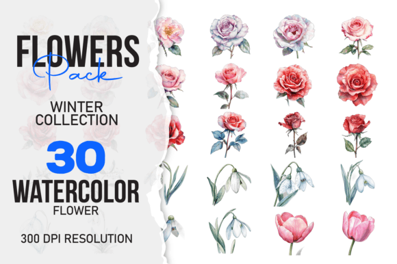 Download Wild Floral Clipart Watercolor Flowers S - Art Collection
