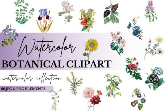 Download Watercolor Floral Clipart Bundle - Art Collection