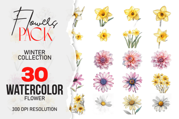 Download Wild Floral Clipart Watercolor Flowers - Art Collection