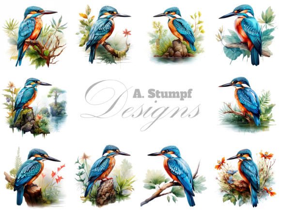 Download Kingfisher Watercolor Bird Clipart Set - Art Collection