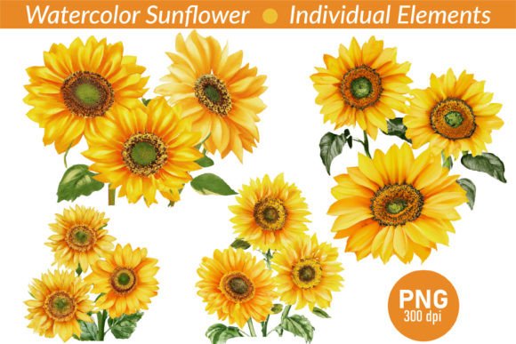 Download Watercolor Realistic Sunflower Clipart - Art Collection