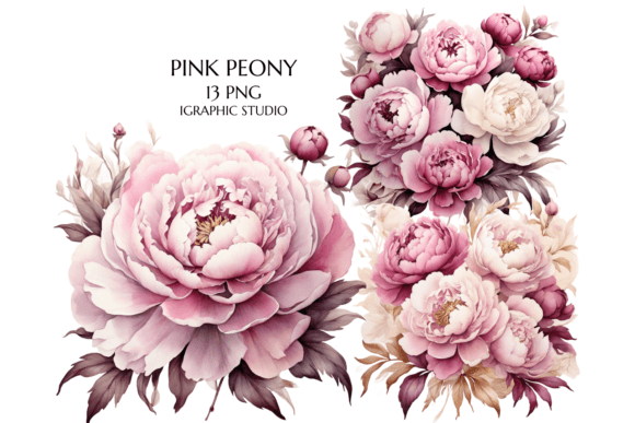 Download Pink Peony Clipart, Peonies Png - Art Collection