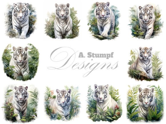 Download White Tiger Watercolor Animal Clipart - Art Collection