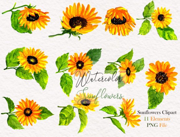 Download Watercolor Sunflower Elements Clipart - Art Collection