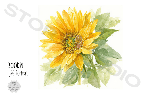 Download Watercolor Sunflower Clipart Set - Art Collection