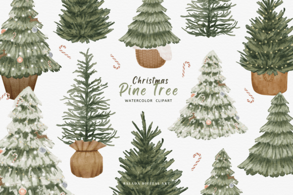 Download Watercolor Christmas Pine Tree Clipart - Art Collection