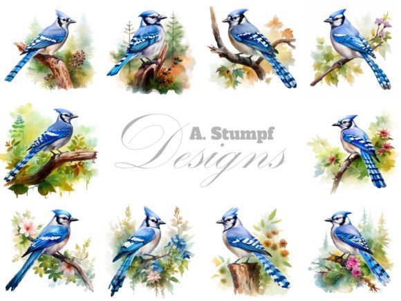 Download Blue Jay Clipart Watercolor Bird Bundle - Art Collection
